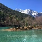 Avatar de Carolina Sandoval